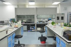如何在檢驗科實驗室正確管理生物安全？